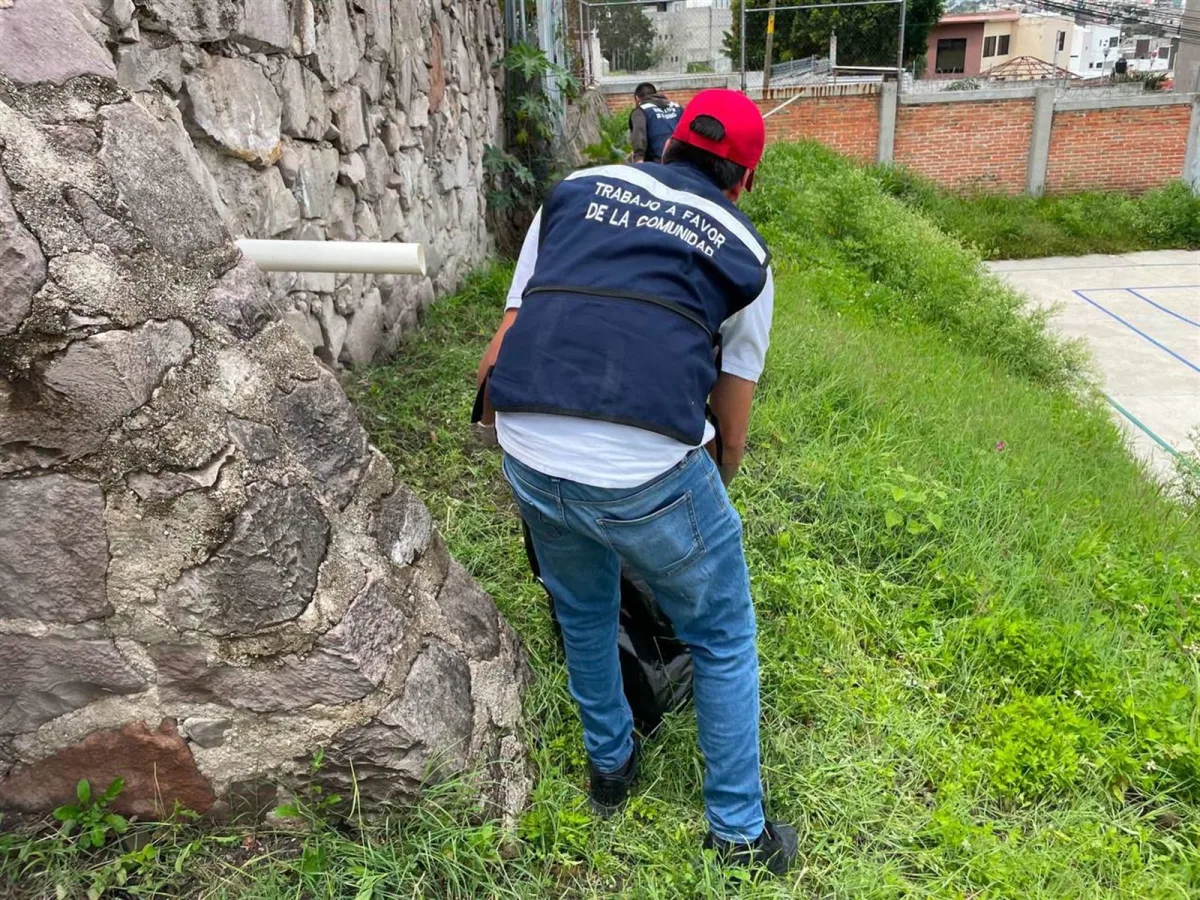 Imagen de la noticia