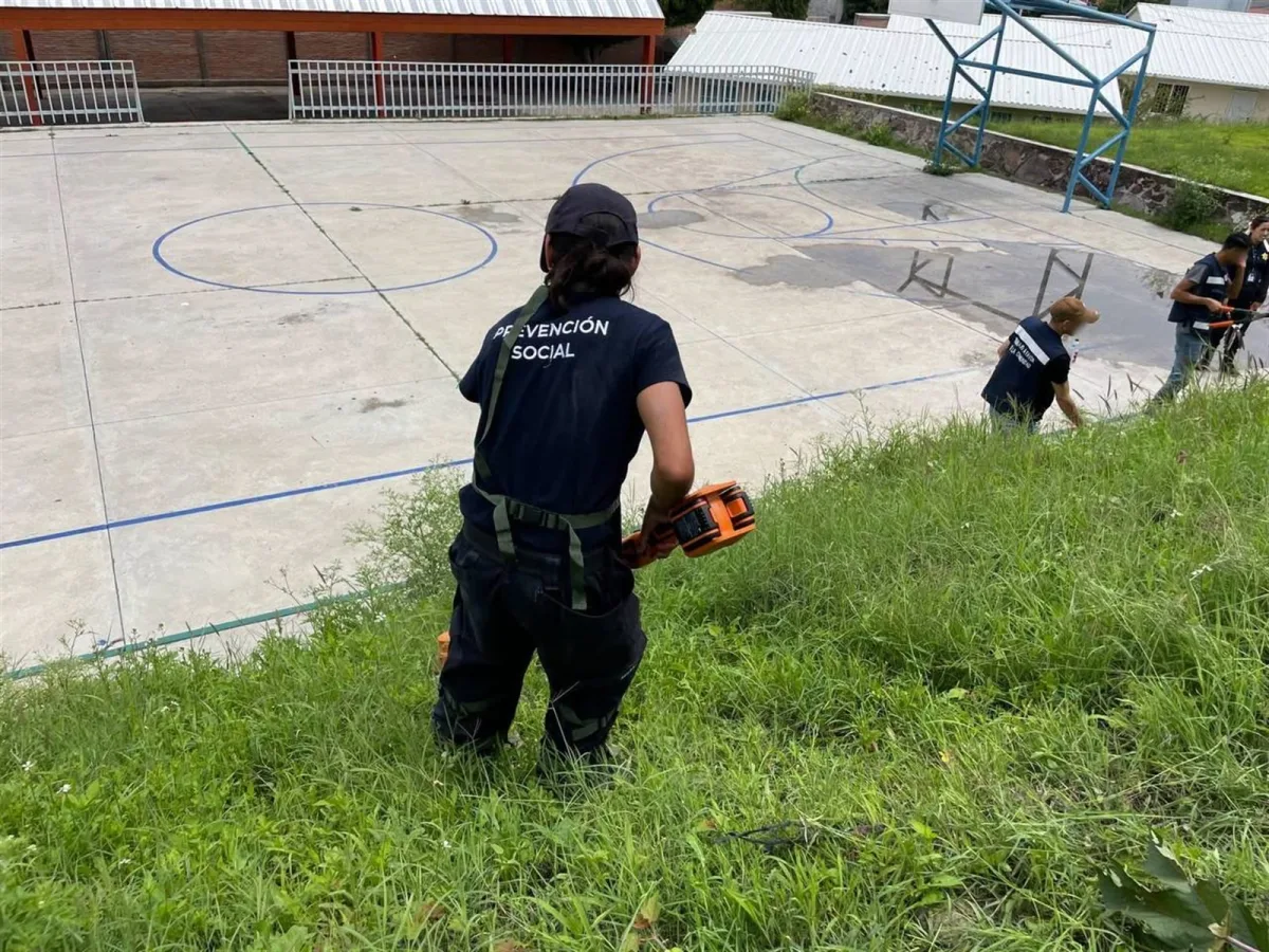 Imagen de la noticia