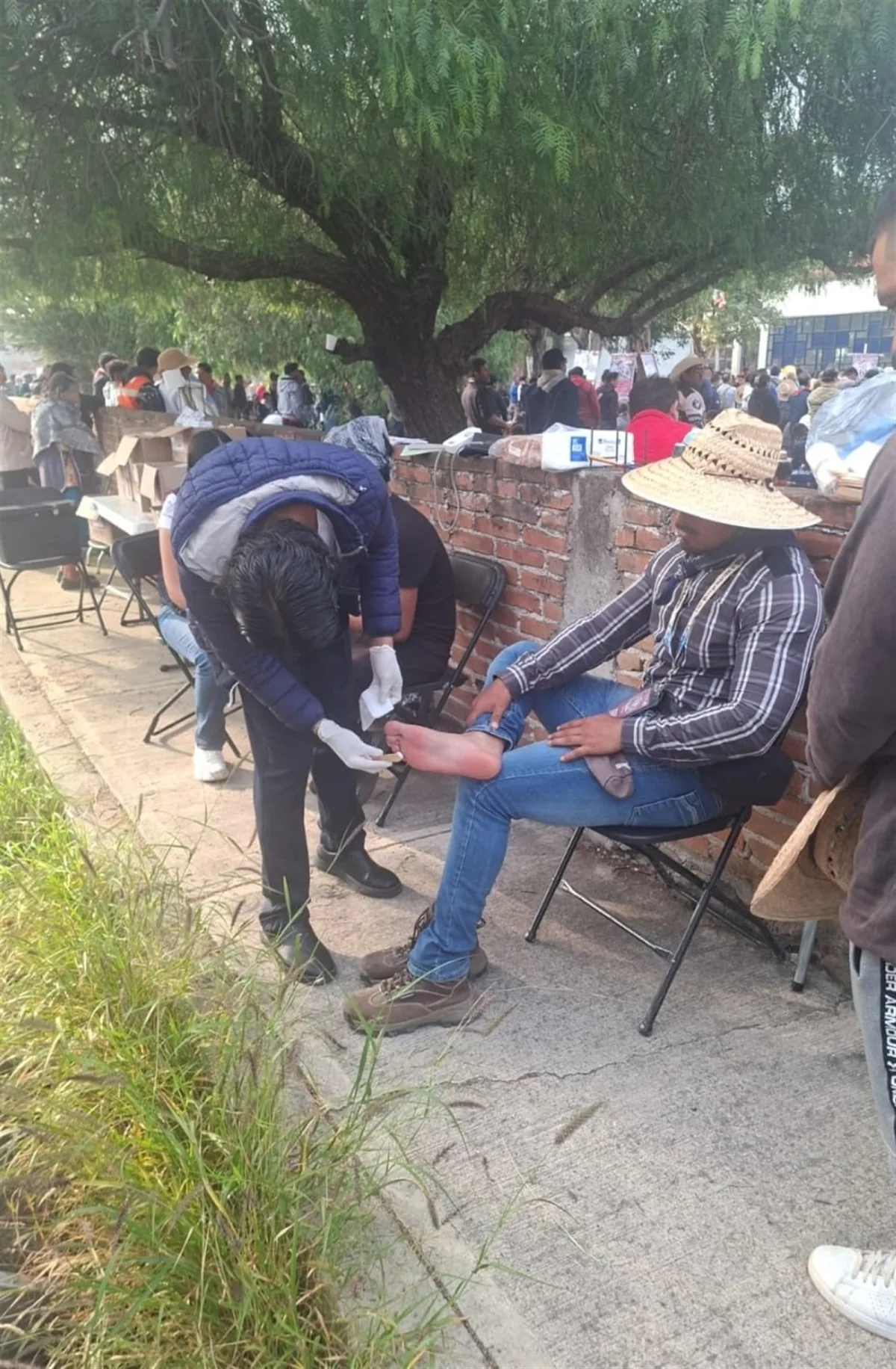 Imagen de la noticia